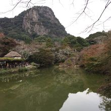 控え目な色づきの紅葉