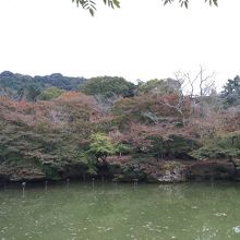 夜はライトアップも