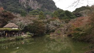 紅葉は期待外れ