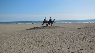 童謡の「月の沙漠」のモデルとなった海岸