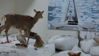 お土産屋さんの中にあります