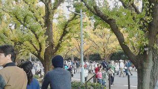２０１５年１０月２２日の神宮外苑　いちょう祭りの様子