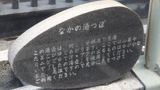 湯村温泉　(14)　なかの湯つぼ
