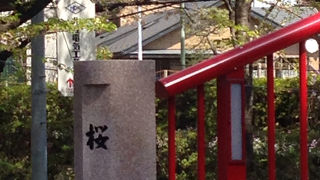 福山雅治さんの桜坂で有名!