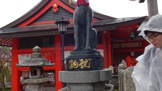 狐がお出迎え。