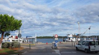 フェリーを待つ車と観光客を待つバスが停車