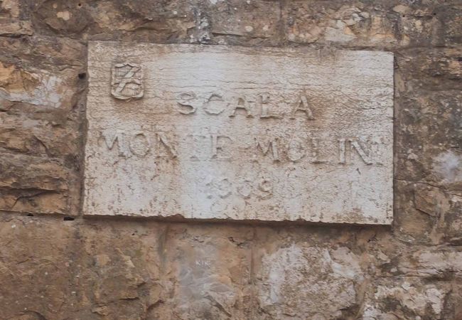 二つのリゾートホテルが建つ小高い山