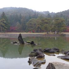 「荒磯風」とのことです