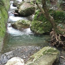 境内を流れる大宮川