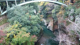 紅葉と猿橋がおにあい！