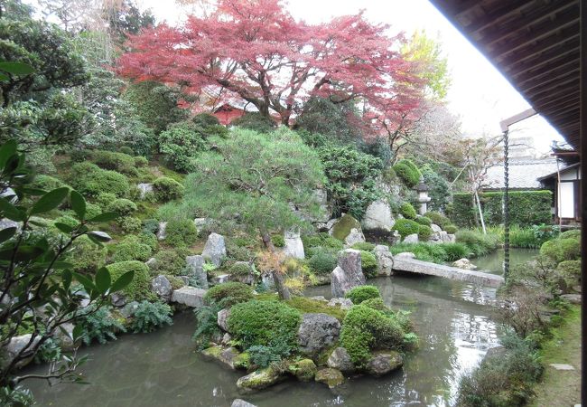 滋賀院門跡庭園 クチコミ アクセス 営業時間 大津 フォートラベル 滋賀院門跡庭園 クチコミ アクセス 営業時間 大津 フォートラベル