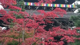 とても広いお寺