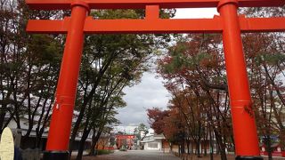 静かな境内でした。