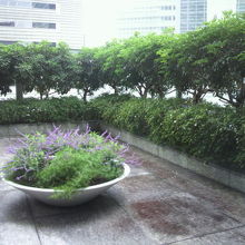 ４階のフロアーには、庭園も併設されています。落ち着いた感じ