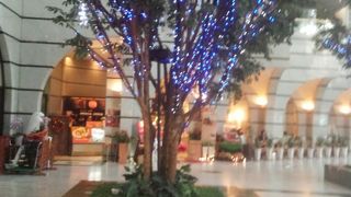 一足早いクリスマスツリ一