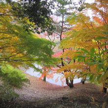 本丸跡から見える隅落とし