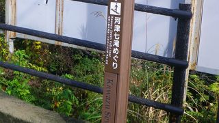 マイナスイオンたっぷり、ネイチャーウォーク