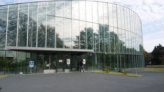 御苑に来たら見ないと損