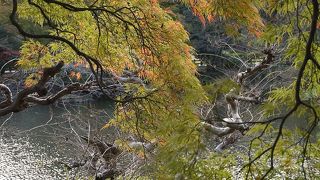 紅葉、見ごろは今月末