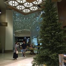 店内には大きなツリーも