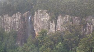 ケアンズからゴールドコースト観光  (10)　スプリングブルック国立公園を見学