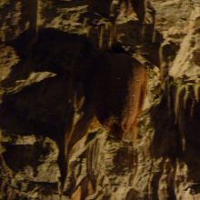 赤い鍾乳石もあります