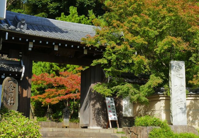 【建功寺】新本堂建設中。平成30年春落慶予定