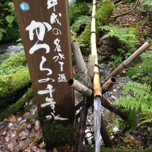 水が、おいしかった