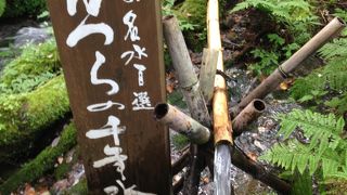 最高の森林浴スポット