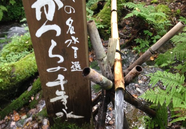 但馬高原植物園ー瀞川平ー クチコミ アクセス 営業時間 湯村温泉 村岡 フォートラベル
