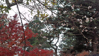 塩竈神社とセットでお参り