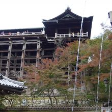 清水の舞台を臨む