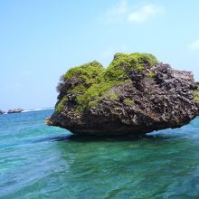 大神島のノッチ