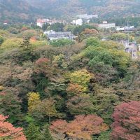 屋上からの景色