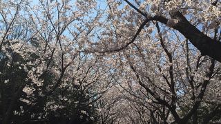 サイクリングに最適