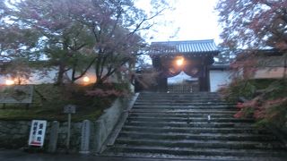 紅葉ライトアップ商法は気にくわないね