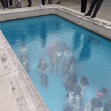 人が水の底にいるのってすごい違和感！！