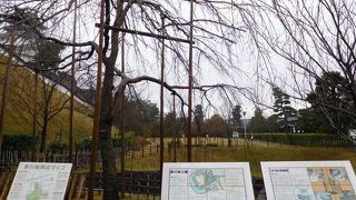 春の季節が良さそう