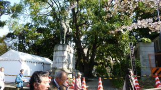 ちょっと奥ですが・・・