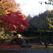 自然たっぷりの大きな公園