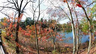 奈良ホテルのお庭から、レストラン菊水から、道路から見る秋の荒池