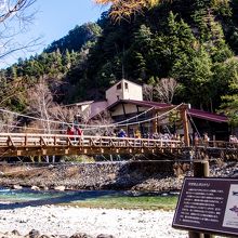 撮影しやすくて　ラッキー