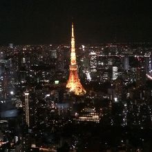 見下ろす東京タワー