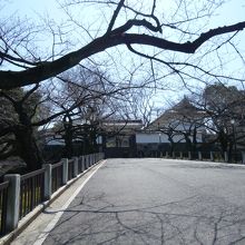 正面右側に見えるのが田安門