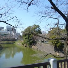 田安門橋から千鳥ヶ淵方面の堀を眺める！