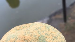 出来たてのよもぎ餅