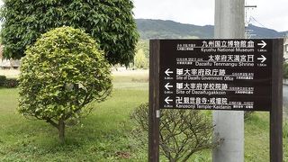 大和政権九州支社