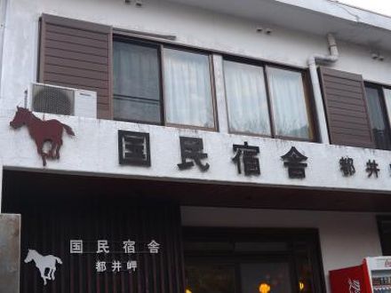 都井岬 国民宿舎の宿泊予約なら フォートラベル の格安料金比較 都井岬 串間 都井岬 国民宿舎の宿泊予約なら フォートラベル の格安料金比較 都井岬 串間