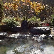 今回初めて露天を楽しんだ