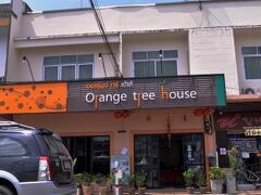 オレンジ ツリー ハウス 写真